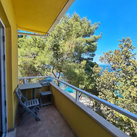 Elena 프리그라디차