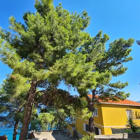 Apartament Elena